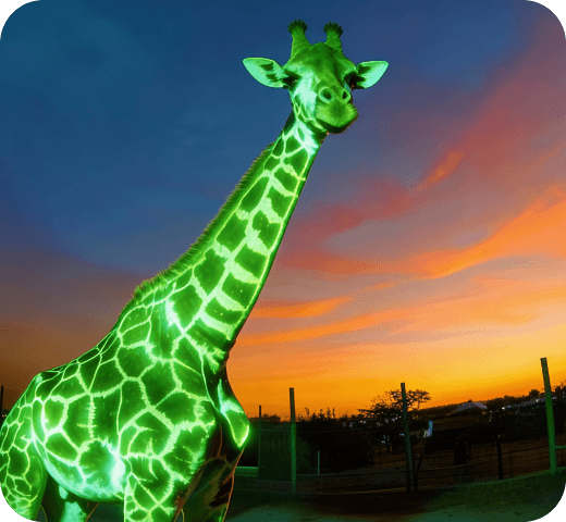 Опишите запрос